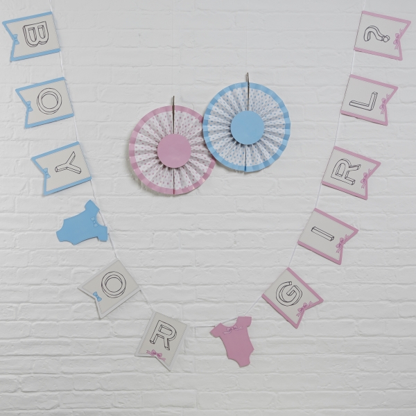 Bunting - Boy or Girl ?